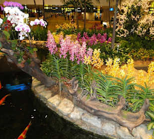 Changi Airport