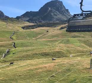 Liftaussicht auf Wanderwege 