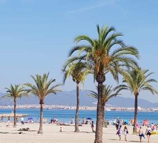 Strand El Arenal/S'Arenal