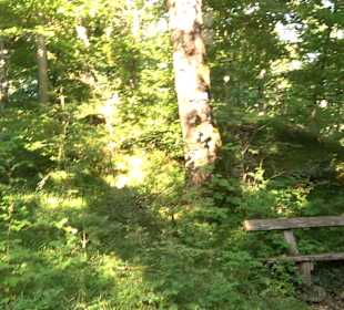 Burgruine Andeck Talheim