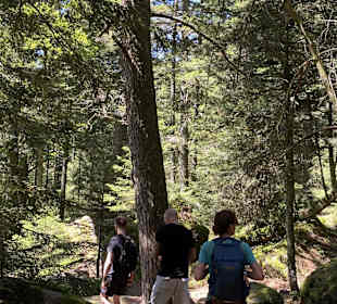 Wandern Thannenkirch