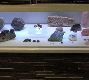 Museum Natur und Mensch