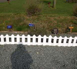 Gräber-Denkmal im Gedenk-Garten