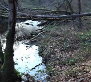 Schönbuch Schaichtal