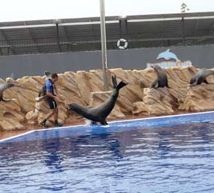 Marineland