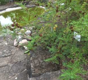 Apothekergarten