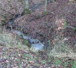 Ochsenweiher Rundweg