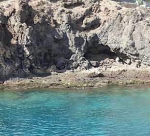 Fahrt mit dem Wassertaxi