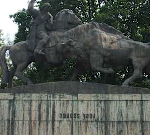 Campulung Moldovenesc 