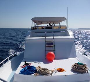 Eines der Tauchboote: die Mondy