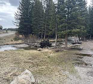 Yellowstone Nationalpark