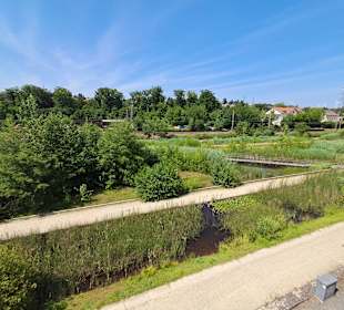 Naturschutzgebiet Grube Reden in Schiffweiler