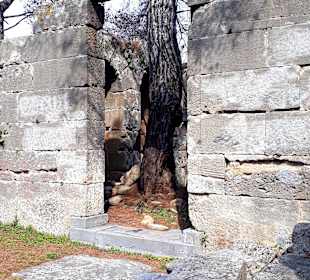 Antike Stadt Seleikeia