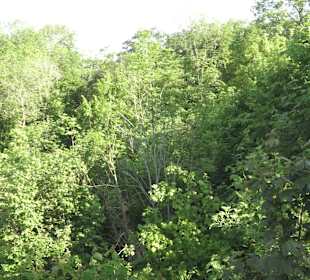 Wellnessbereich Mawell Resort 