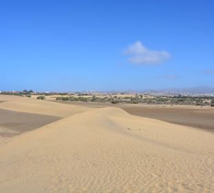 Dünen von Maspalomas