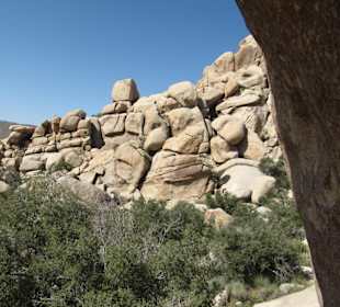Joshua Tree National Park