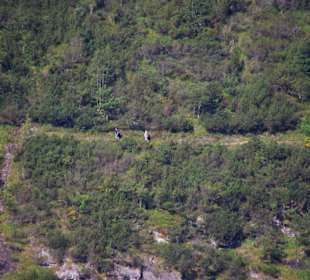 Die Wanderwege am See