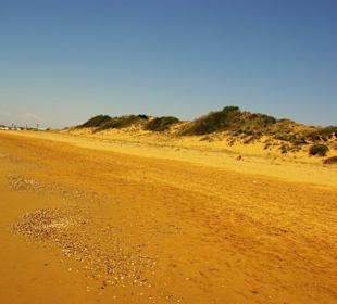Strandbereich Gündogdu noch der Beste