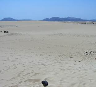 Sand dunes beach