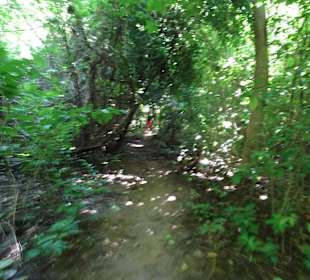 Weg durch Hong Island