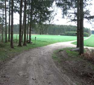 Wanderweg Kunst der kleinen Schritte