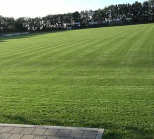 Albstadion