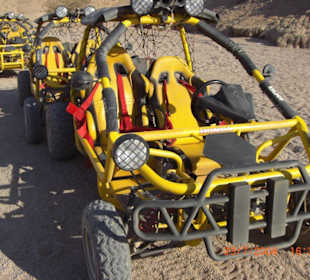 Buggy 