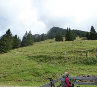 Bucheralm