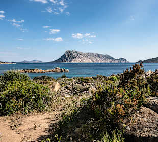 Strand Cala Brandinchi