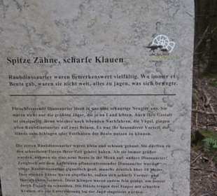 Dinosaurier Museum Altmühltal