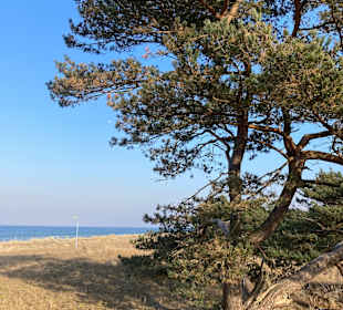 Nordstrand Prerow