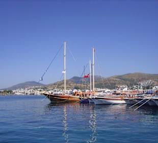 wo die Schiffe wohnen