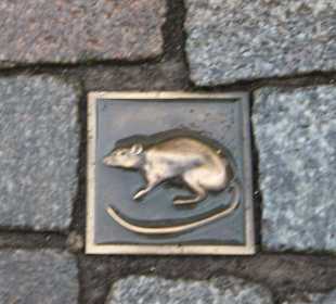 Rattenpflastersteine