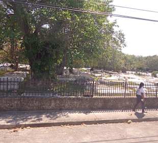 Blick auf den Friedhof