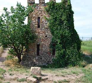 Дом поэтов в Танаисе.