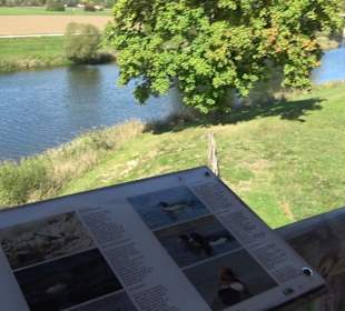 Schaukelweg an der Donau