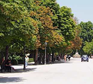 Bardzo dużo przestrzeni