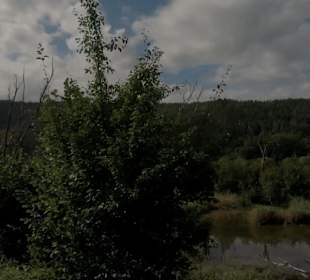 Wander- und Radweg Donau