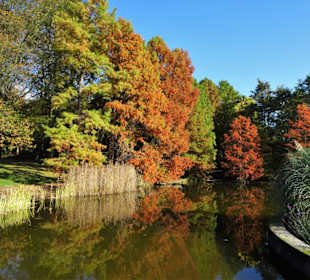 Impressionen aus dem Botanischen Garten Hamburg