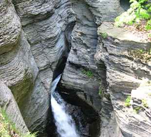 Watkins Glen