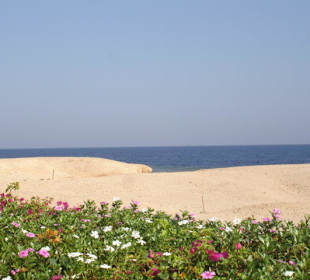 Einmalig im Urlaubsparadies...