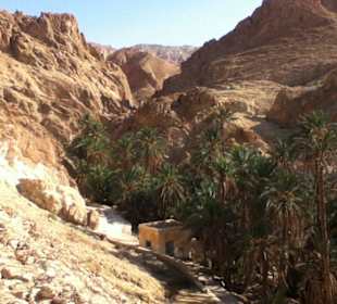 Bergoase gleich neben der Grenze Algerien