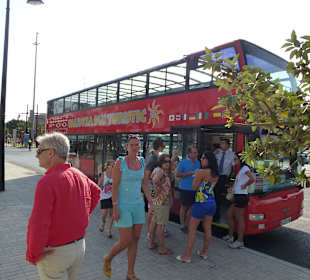 Bus der blauen Linie