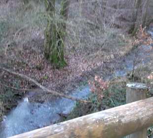 Wanderung rund um den Ochsenweiher