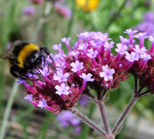 Eindrücke vom Rundgang durch den Park der Gärten