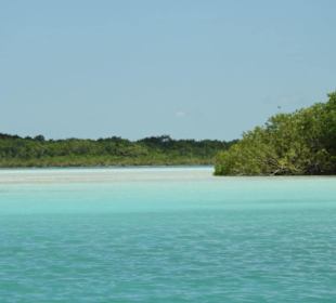 Lagune der sieben Farben in Bacalar 