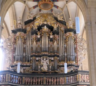 Die Severikirche in Erfurt auf dem Domberg