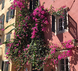 Inselrundfahrt Korfu