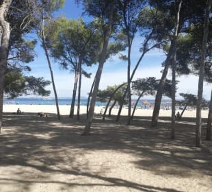 Strand Cala Mayor / Cala Major