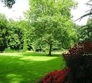 Hochsommer im Kurpark Bruchhausen-Vilsen